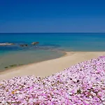 Ampurias فندق كاستيلساردو
